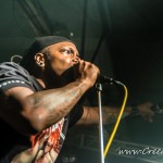 135 134 Tortharry Derrick Green